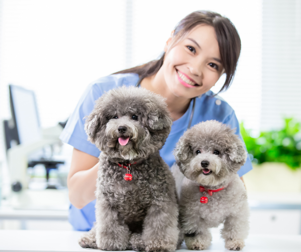 Safety for pet pros + dedicated owners