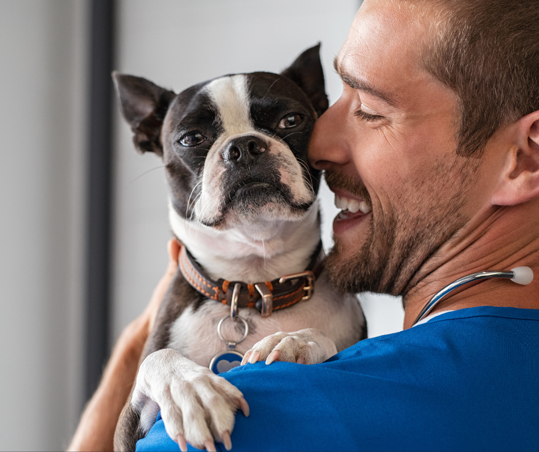 Dog CPR, First Aid + Safety for pet pros + dedicated owners