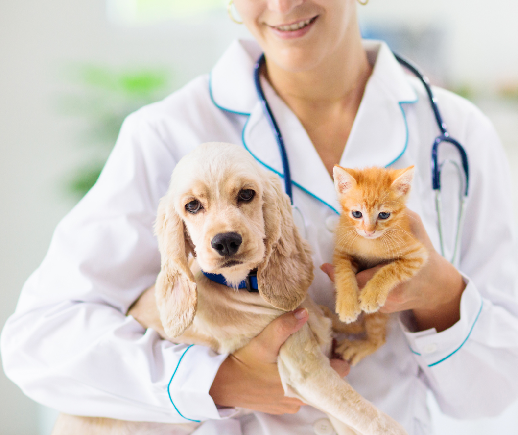 Safety for pet pros  dedicated owners